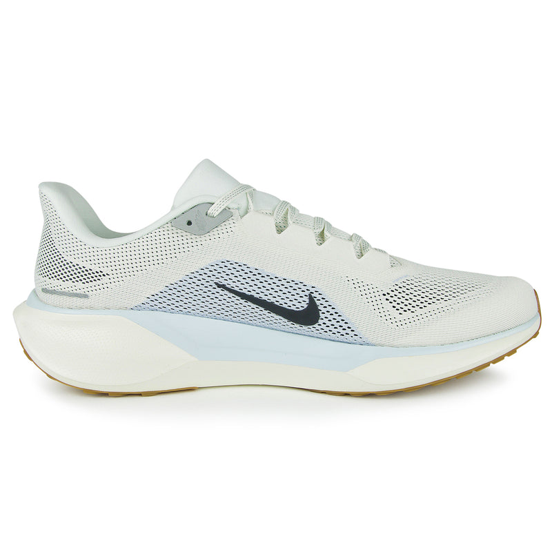 Air Zoom Pegasus 41
