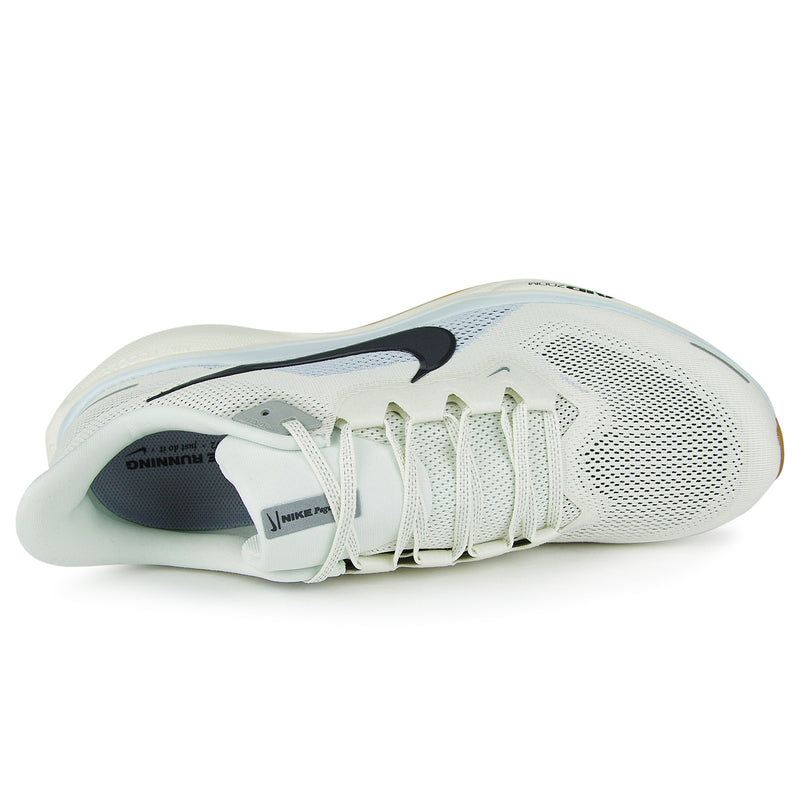 Air Zoom Pegasus 41