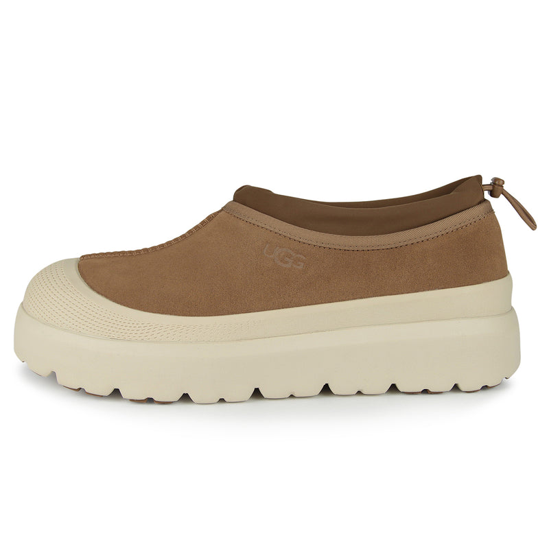 Tasman Weather Hybrid