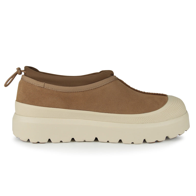 Tasman Weather Hybrid