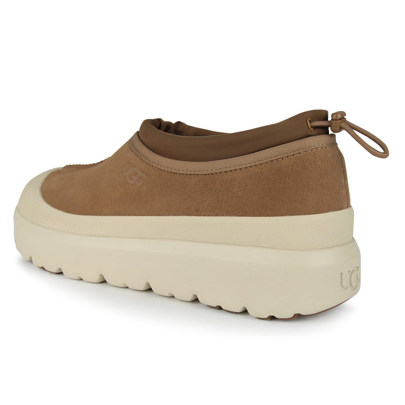 Tasman Weather Hybrid